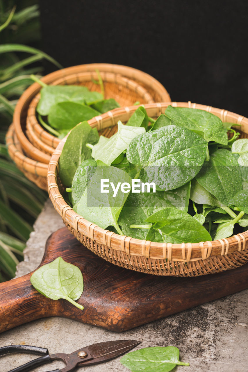 Fresh malabar spinach- ceylon spinach- vine spinach- ingredient for cooking