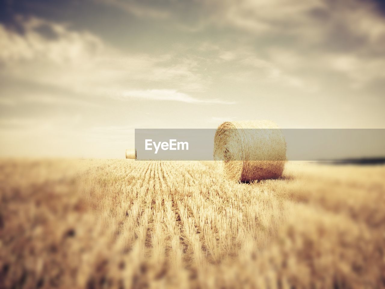Scenic view of field against cloudy sky