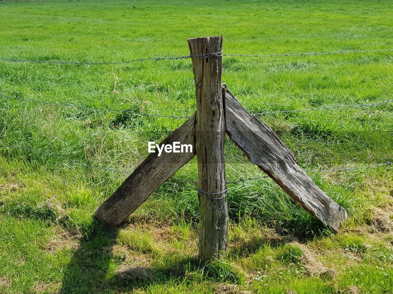 WOODEN LOG ON FIELD BY TREES