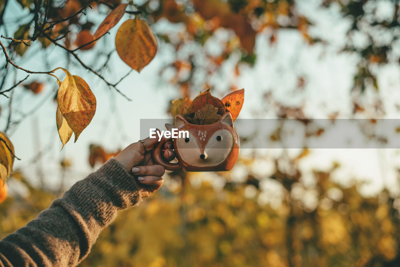 Person holding a mug full of leaves during autumn