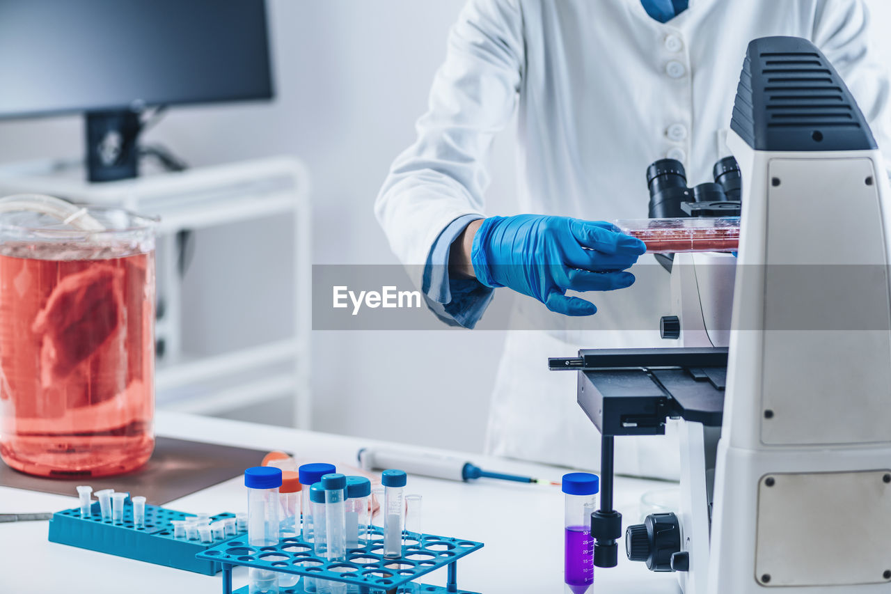 Scientist analyzing cultured artificial meat sample under the microscope in laboratory