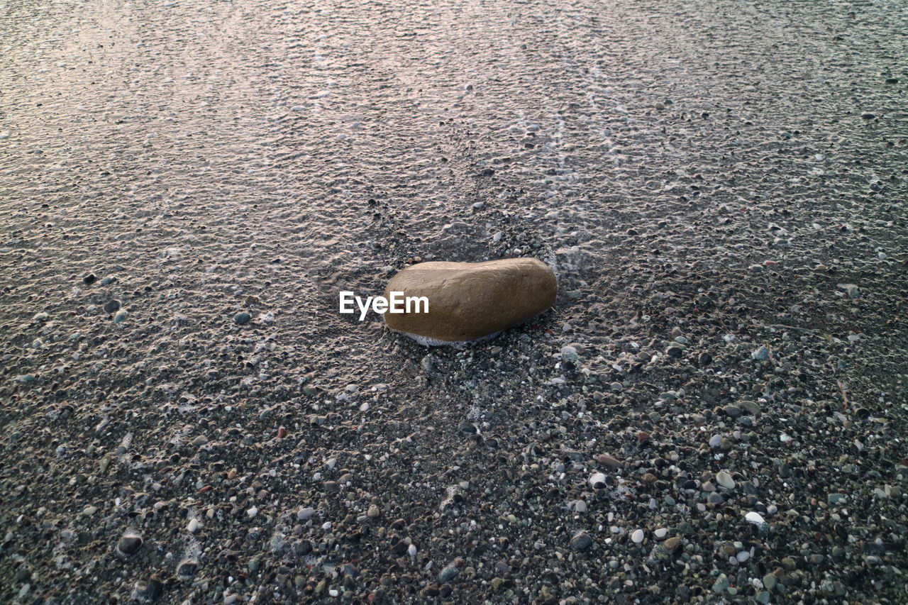 High angle view of rock on sand at beach