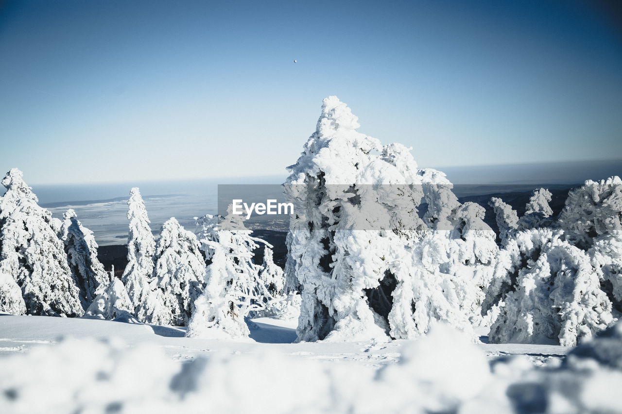 Panoramic view of snow covered land against clear sky