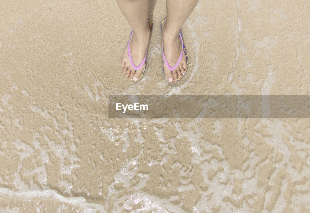 Low section of woman standing at beach