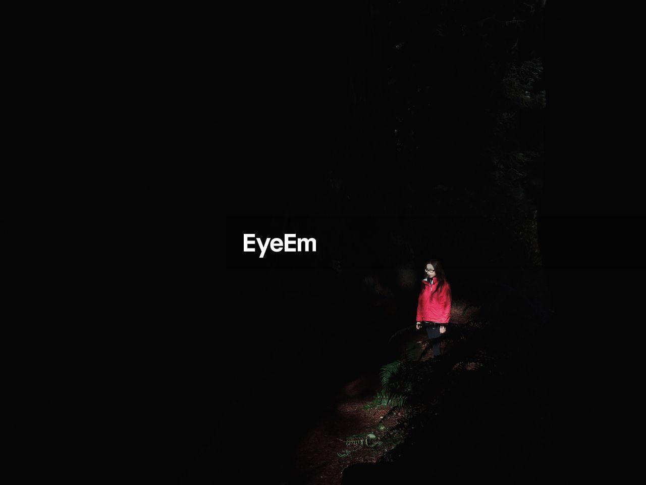 High angle view of woman standing on rock in prairie creek redwoods state park