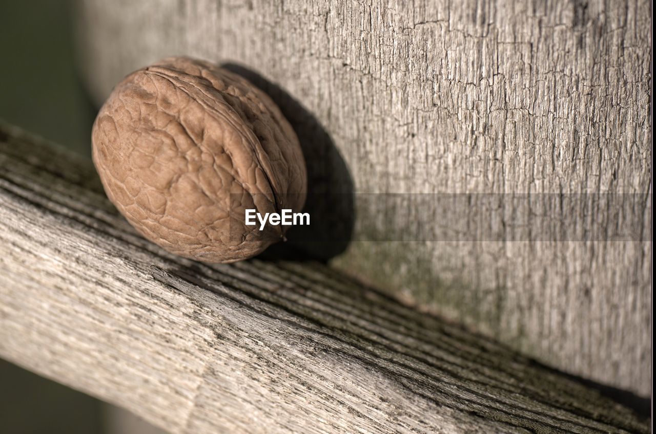 Close-up of walnut on wooden table