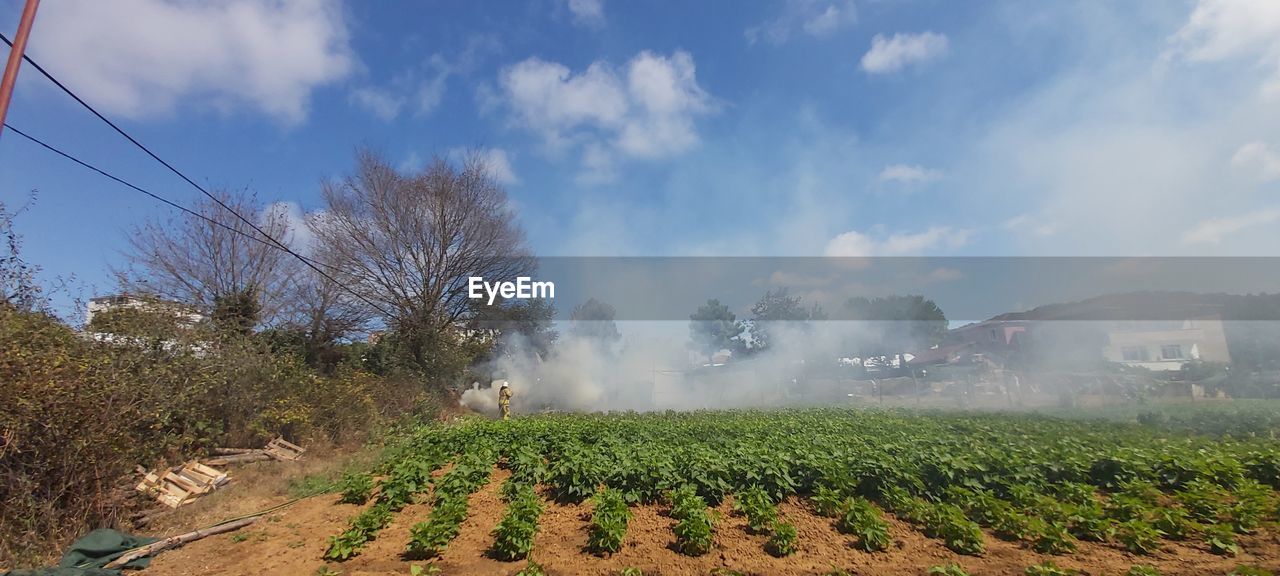 Panoramic shot of agricultural field against sky