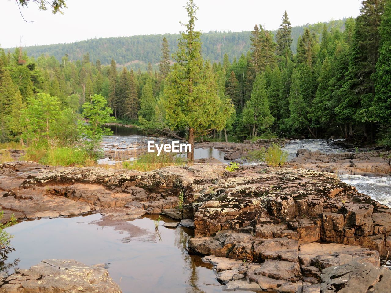 SCENIC VIEW OF LAKE