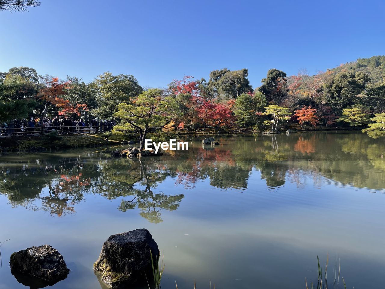 reflection, water, nature, lake, tree, autumn, plant, sky, landscape, beauty in nature, leaf, tranquility, scenics - nature, no people, body of water, flower, environment, clear sky, outdoors, tranquil scene, wilderness, reflection lake, blue, travel destinations, day, travel, mountain, morning