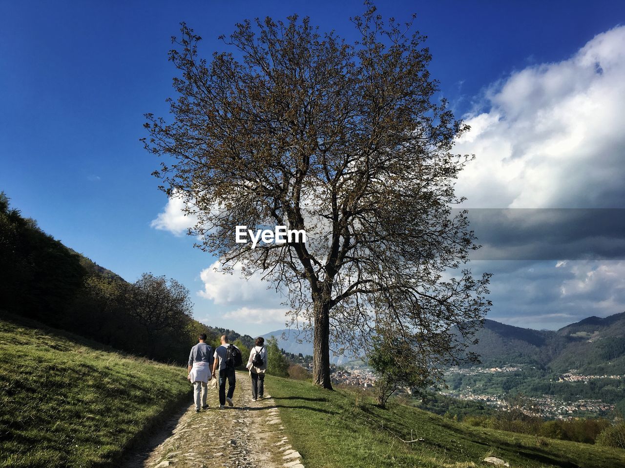 Rear view of people walking on footpath by tree against sky