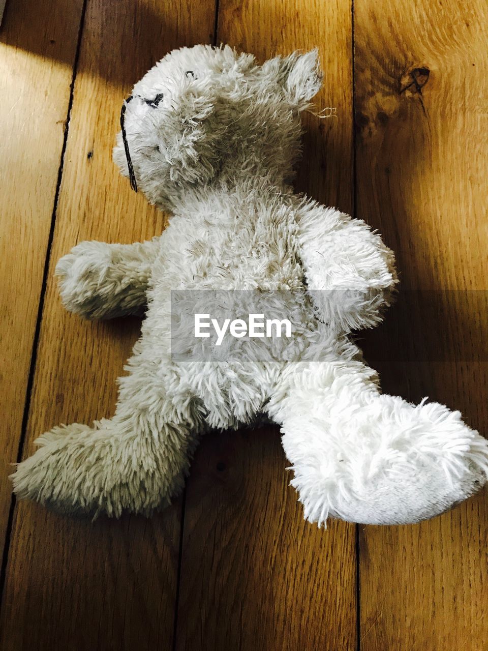 High angle view of white teddy bear on hardwood floor