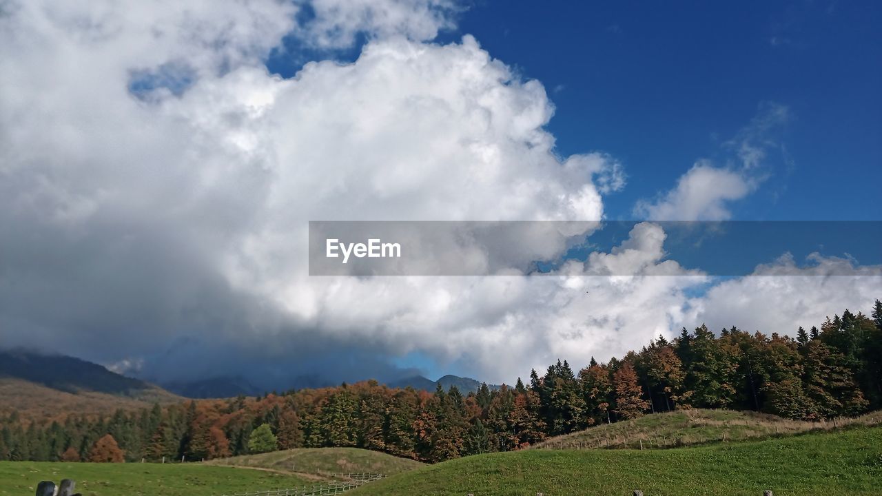 cloud, sky, landscape, environment, nature, mountain, plant, land, scenics - nature, mountain range, meadow, tree, beauty in nature, field, rural scene, grass, grassland, agriculture, plateau, rural area, panoramic, tranquility, no people, blue, travel, outdoors, forest, green, valley, crop, horizon, tranquil scene, plain, growth, non-urban scene, travel destinations, day, social issues, tourism, food and drink, farm, summer