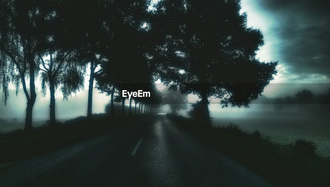 Street amidst trees against cloudy sky during foggy weather