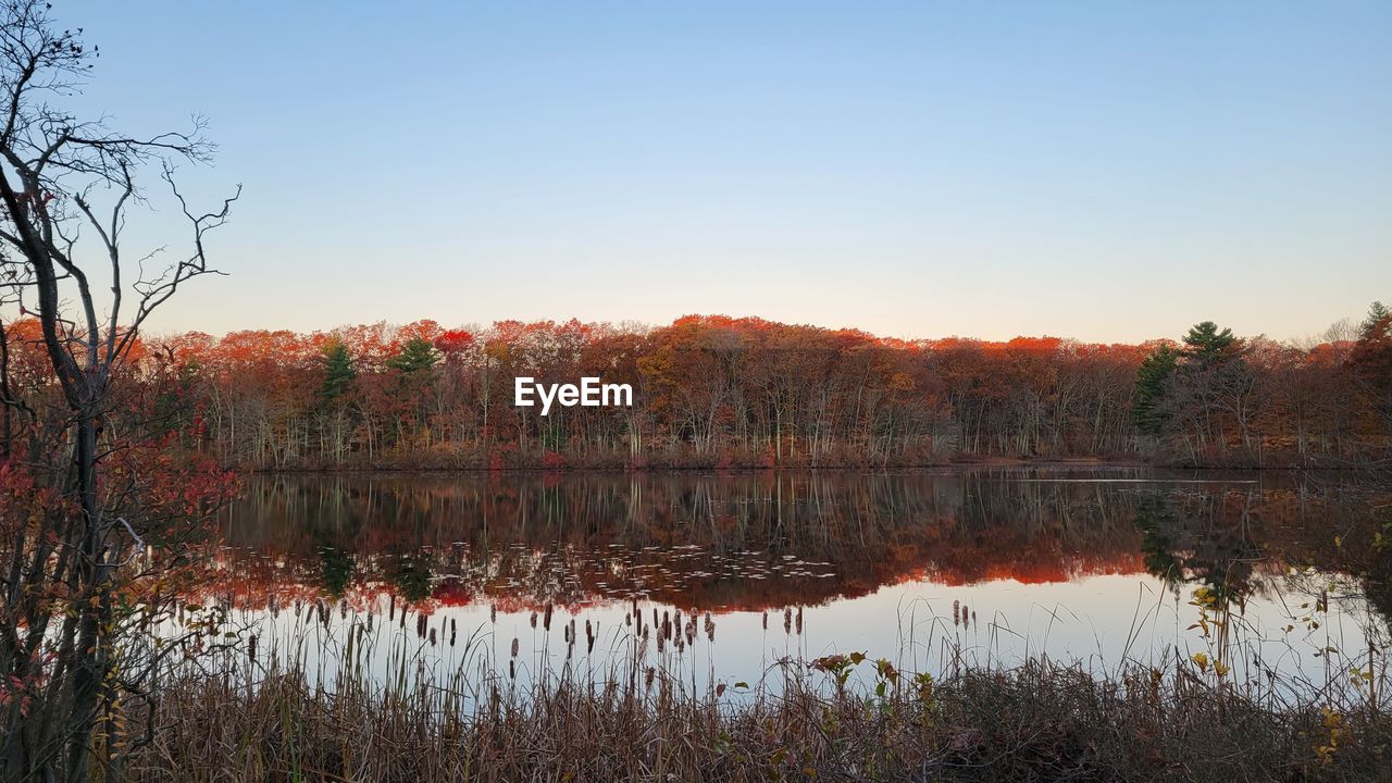 SCENIC VIEW OF LAKE AGAINST CLEAR SKY