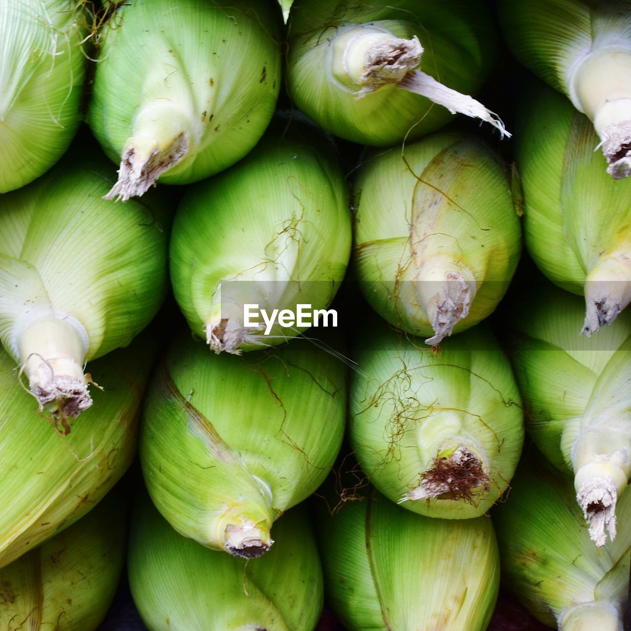 Full frame shot of corns for sale