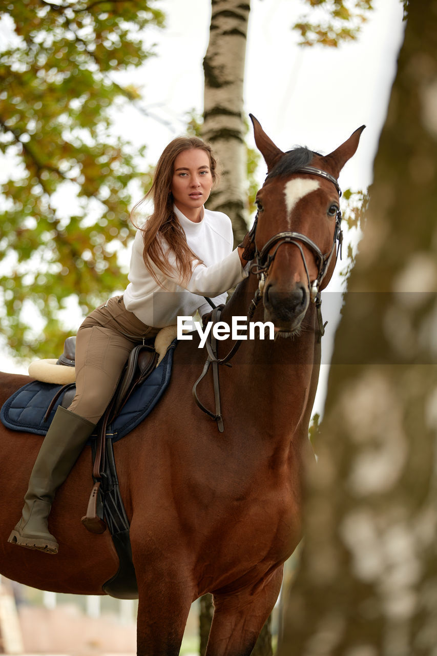 portrait of woman riding horse