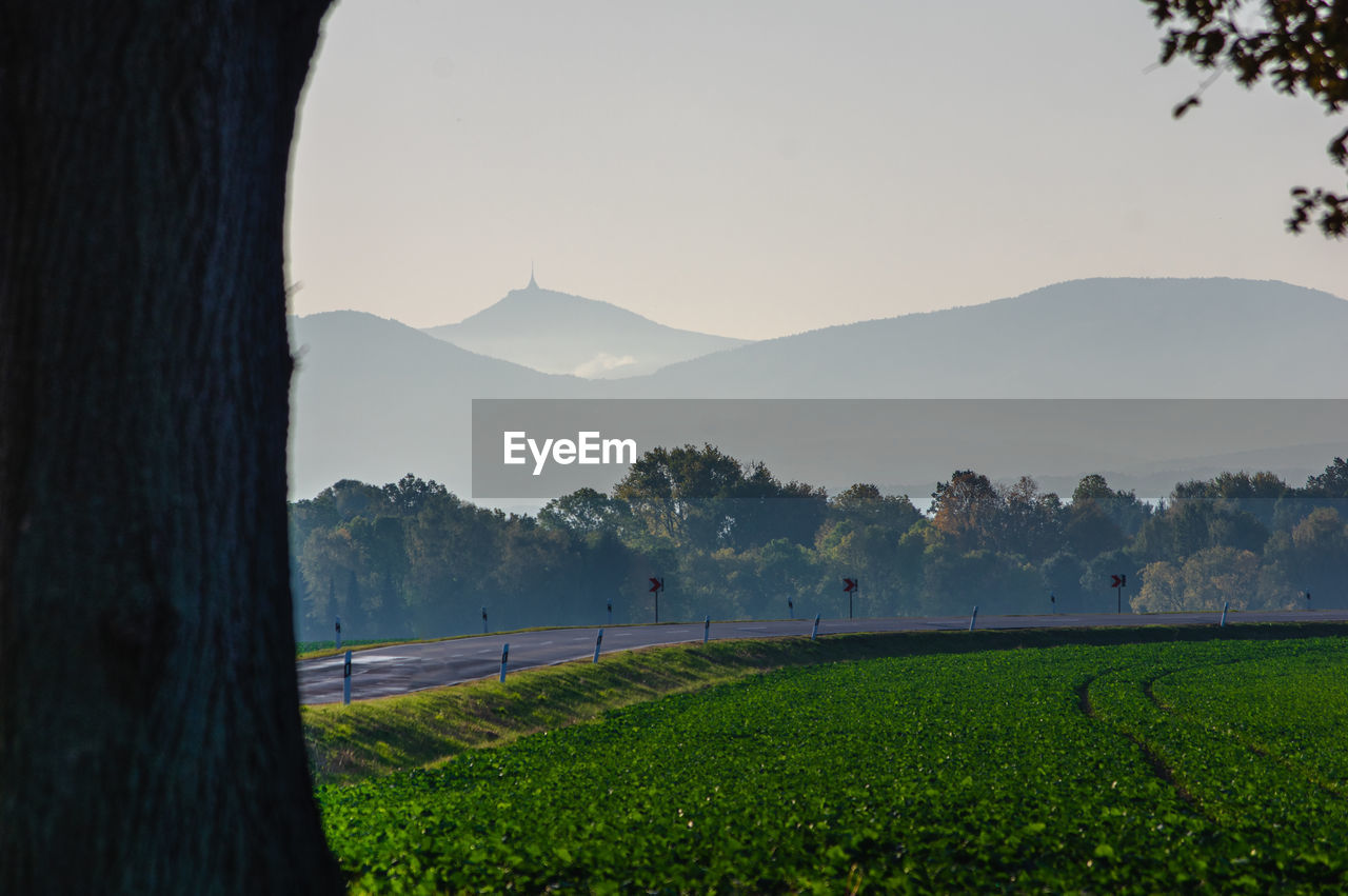 Scenic view of field against clear sky