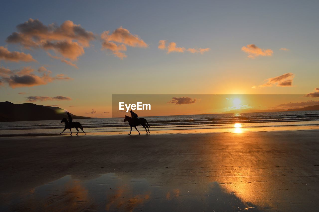 VIEW OF PEOPLE RIDING HORSE ON BEACH AGAINST SKY DURING SUNSET