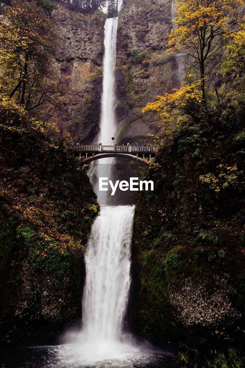 VIEW OF WATERFALL IN FOREST