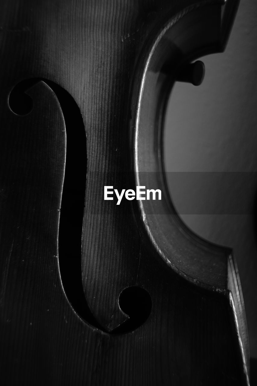 black, black and white, monochrome, monochrome photography, music, violin, indoors, close-up, no people, wood, musical instrument, white, arts culture and entertainment, guitar, string instrument, darkness, musical equipment, bowed string instrument, single object, still life, studio shot