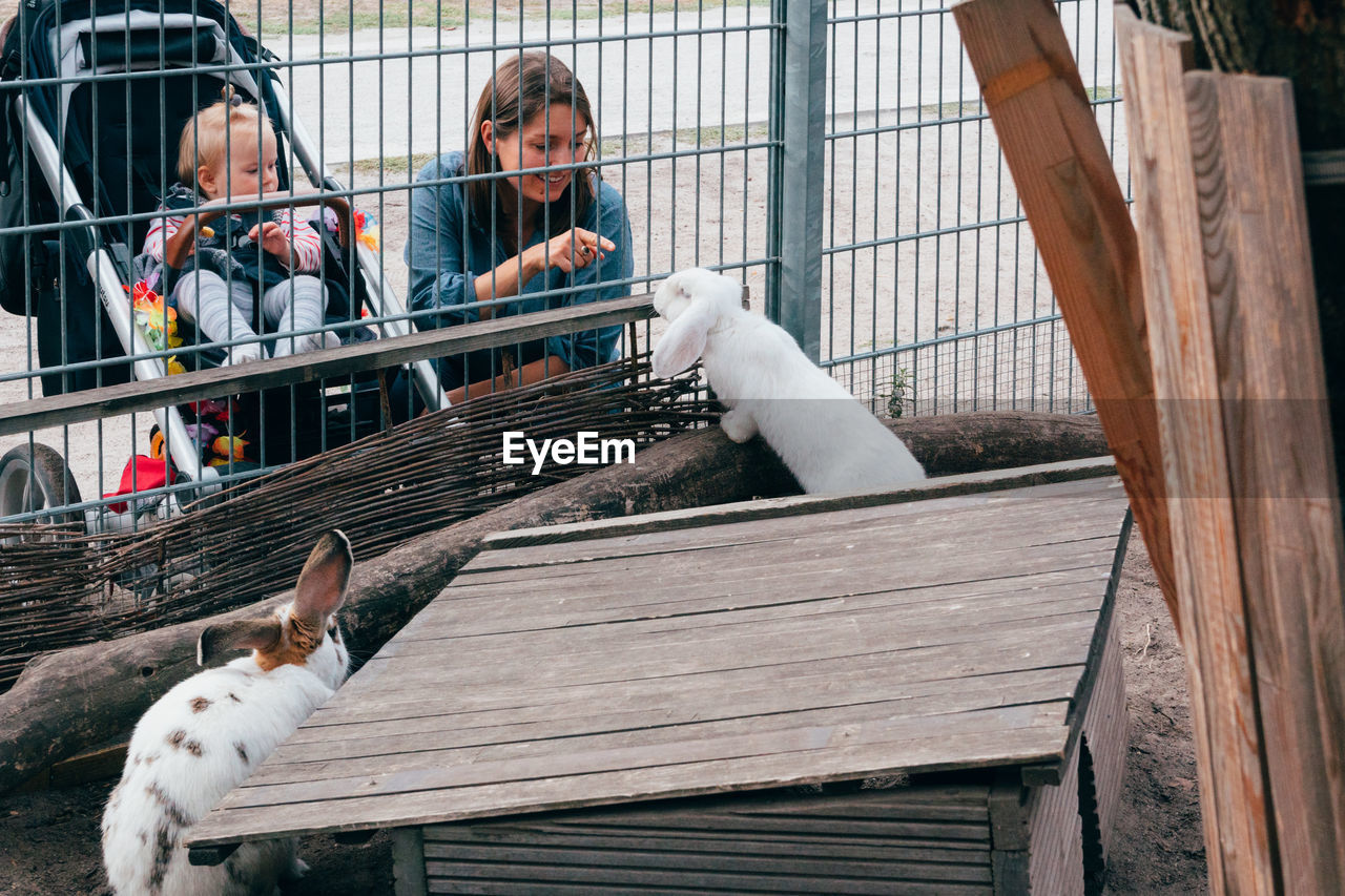 VIEW OF BIRDS IN CAGE