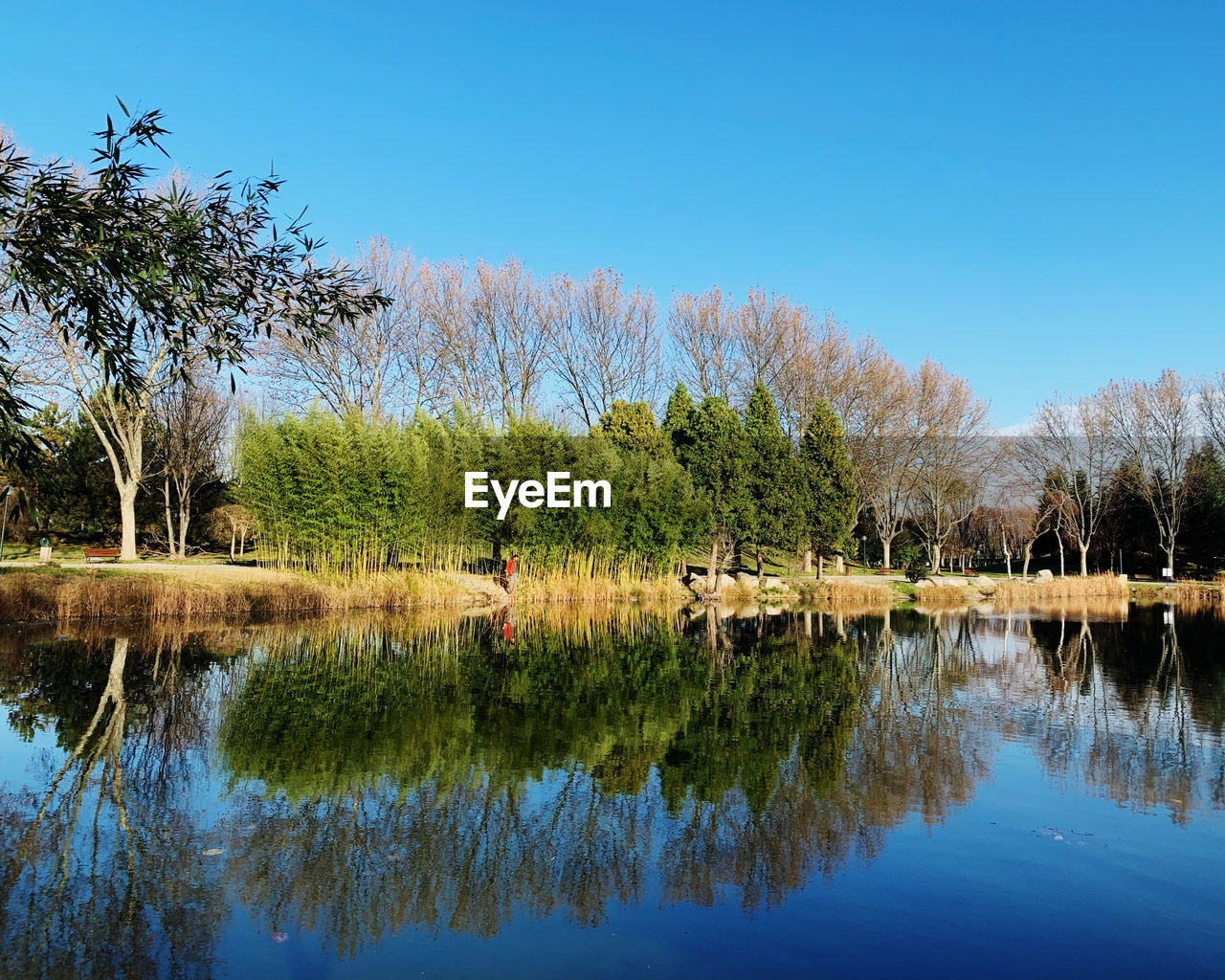 SCENIC VIEW OF LAKE AGAINST CLEAR SKY