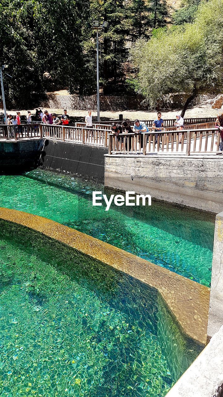 GROUP OF PEOPLE BY SWIMMING POOL AGAINST TREES