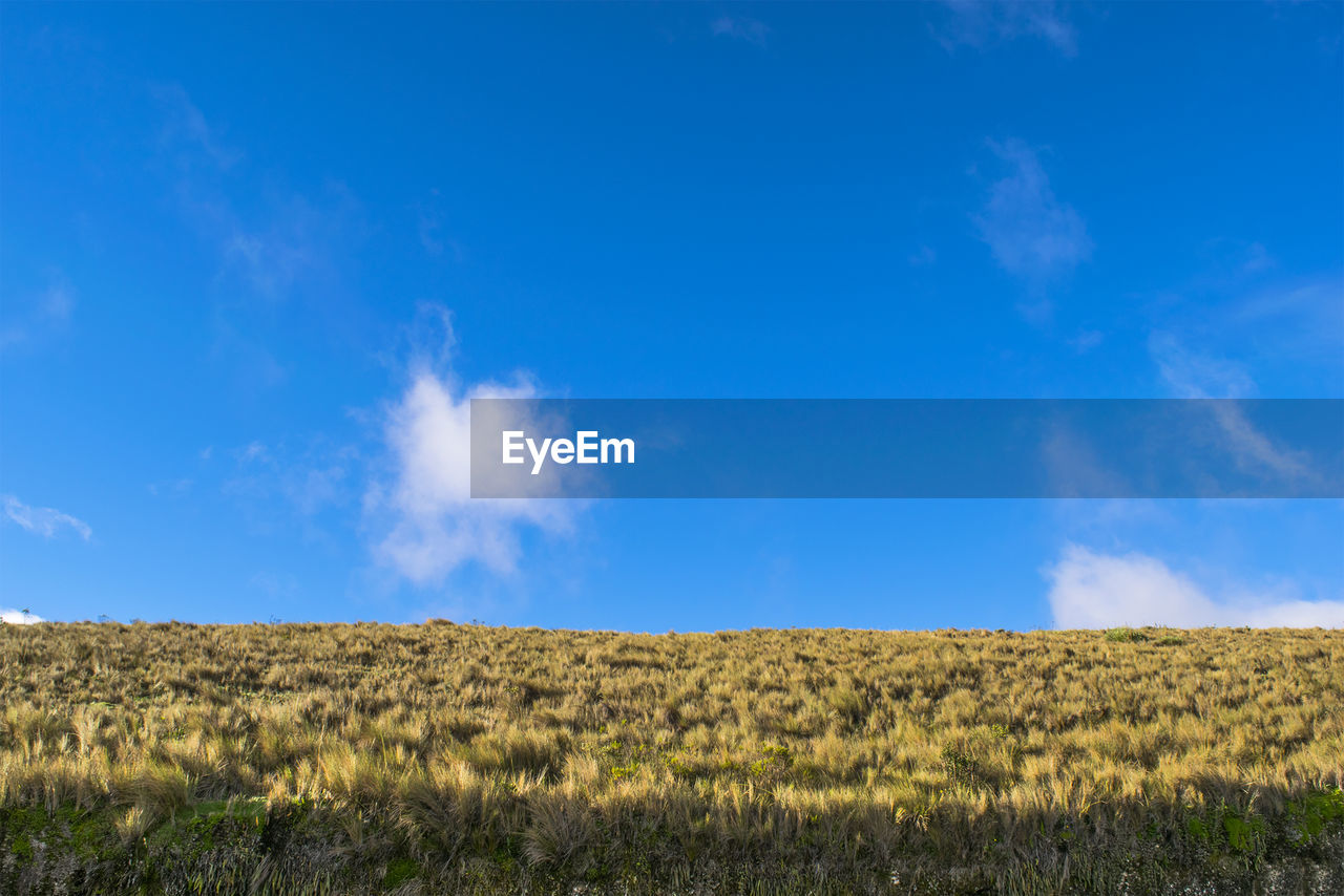 View of fields against blue sky