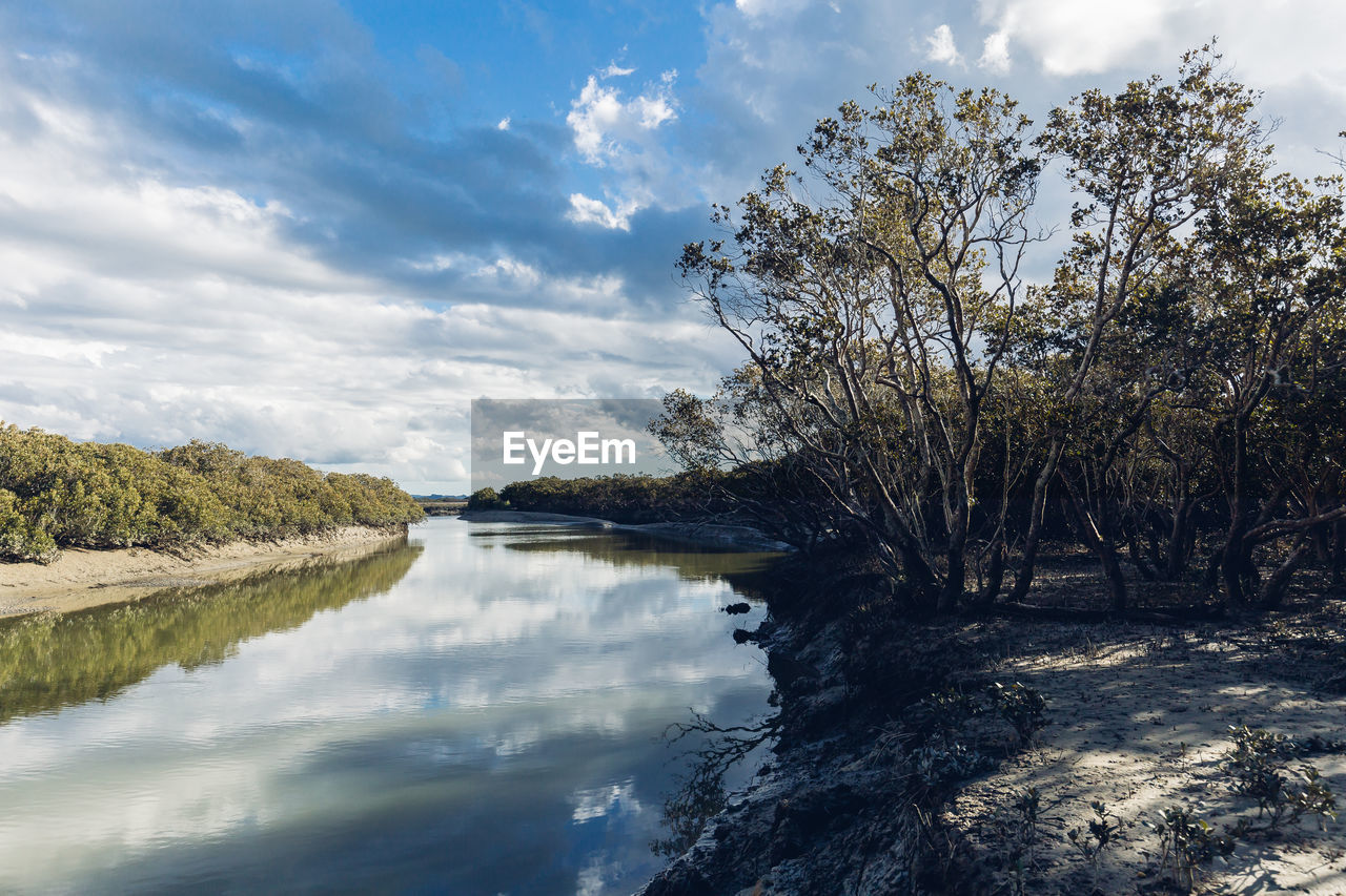 SCENIC VIEW OF LAKE BY TREES AGAINST SKY