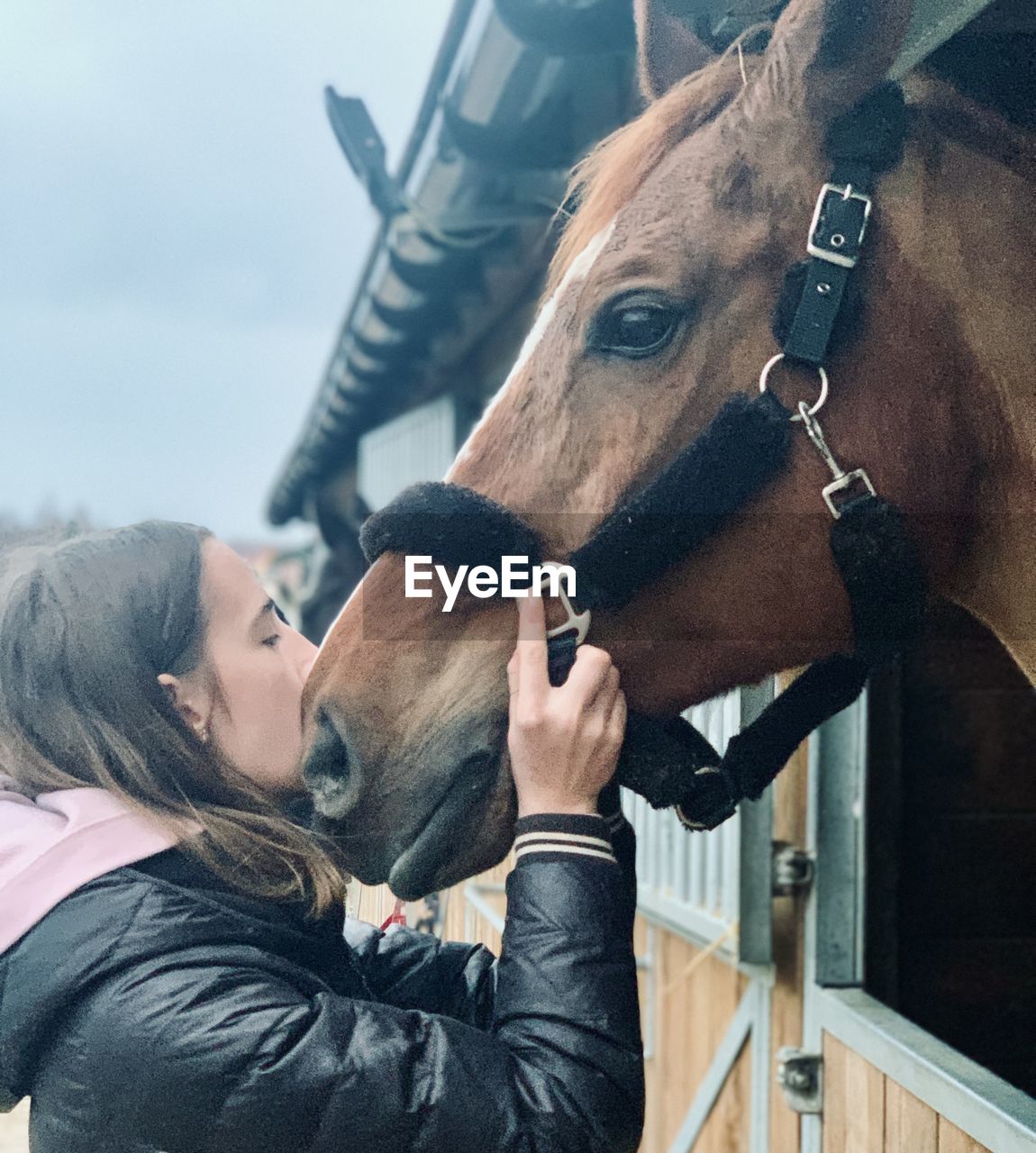 Close-up of woman kissing horse outdoors