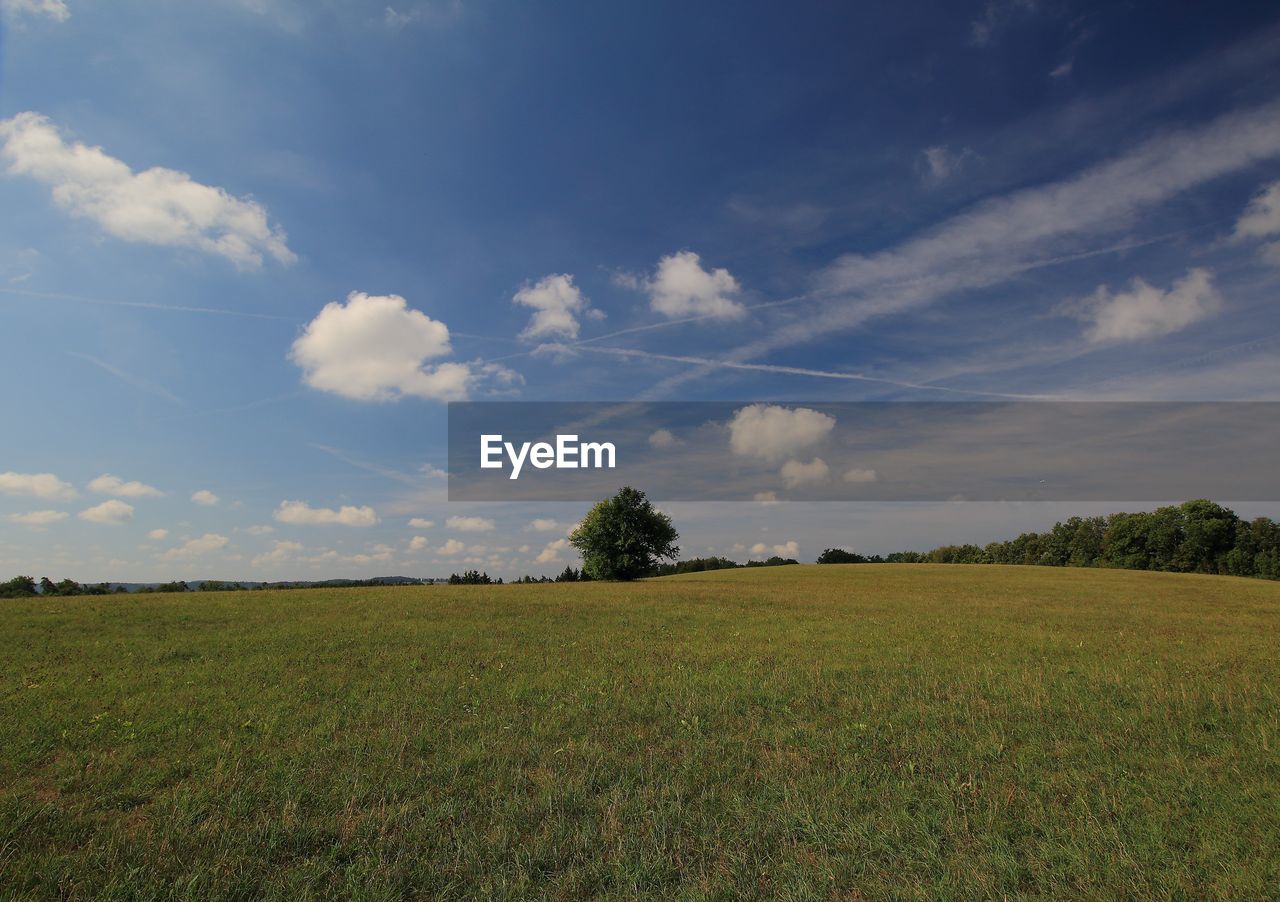 sky, horizon, landscape, plant, environment, cloud, field, grassland, land, grass, plain, nature, natural environment, prairie, agriculture, scenics - nature, beauty in nature, tree, pasture, rural scene, sunlight, rural area, tranquility, no people, meadow, green, hill, tranquil scene, morning, growth, steppe, cereal plant, outdoors, blue, day, crop, non-urban scene, horizon over land, food, summer, idyllic