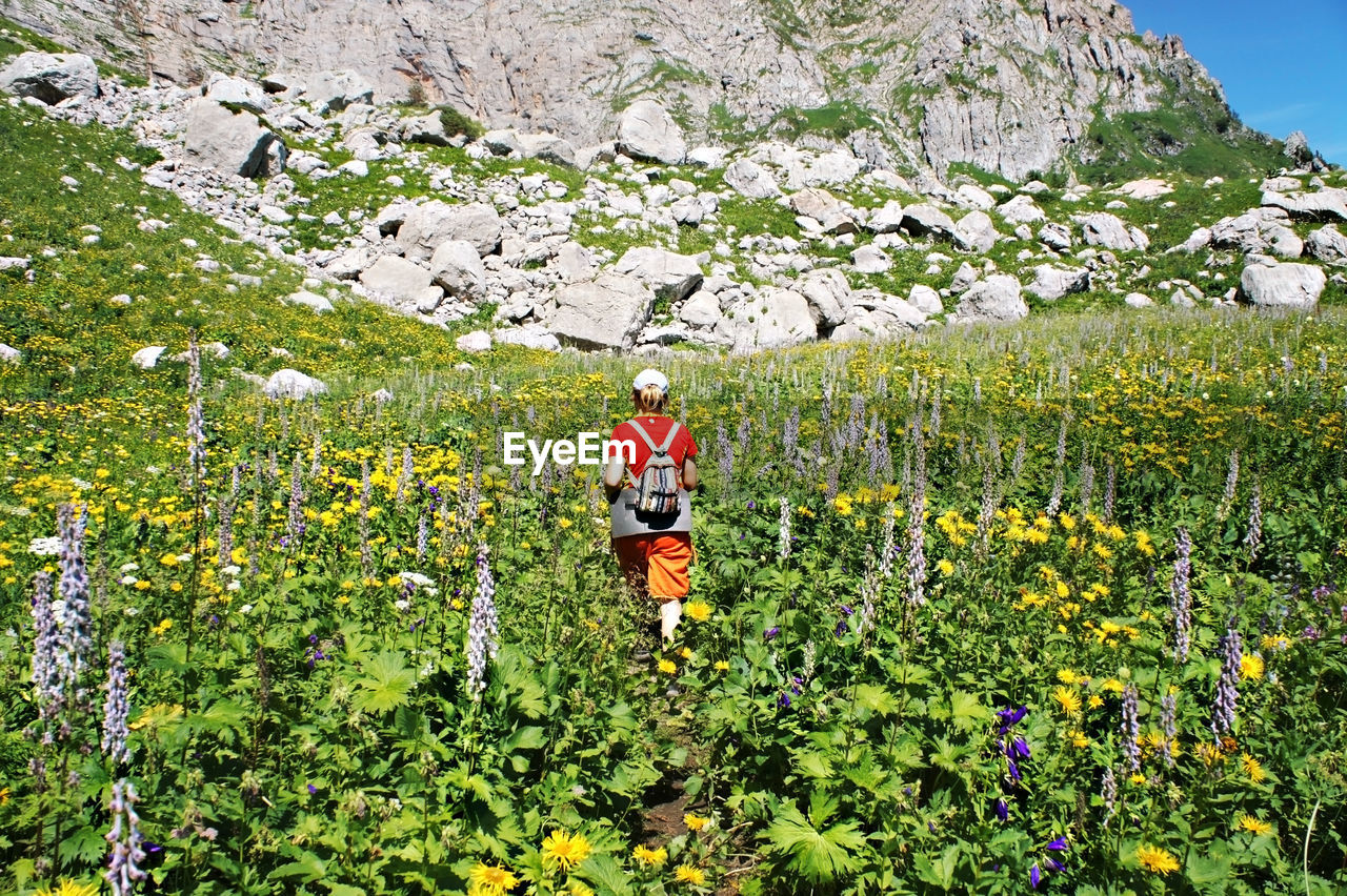 Young caucasian woman hiker from behind with backpack walking in green caucasus mountains