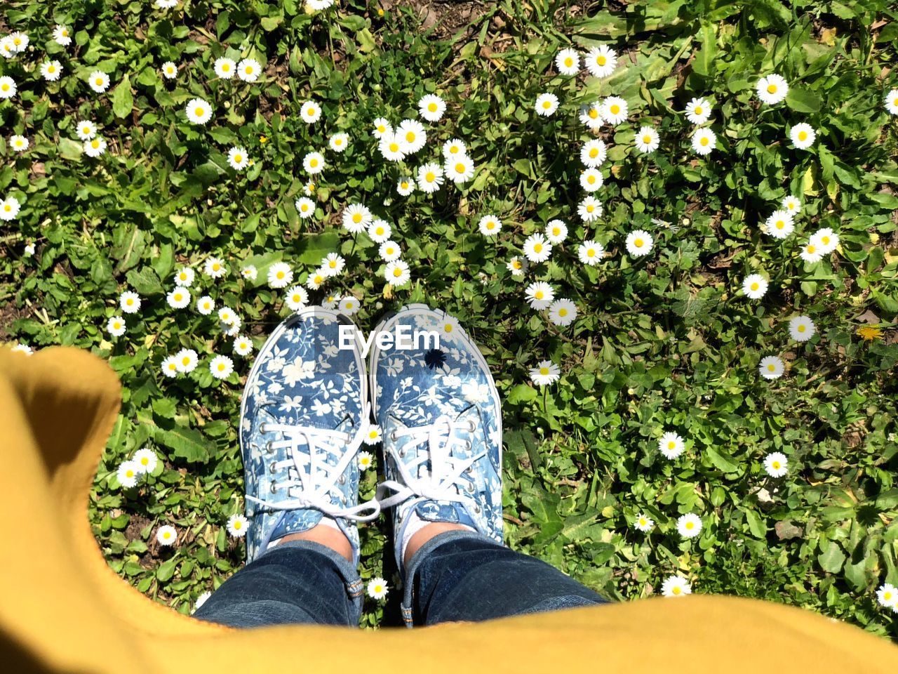 Low section of woman standing by flowers on field