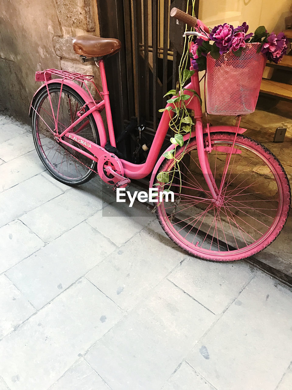 BICYCLE LEANING ON FOOTPATH