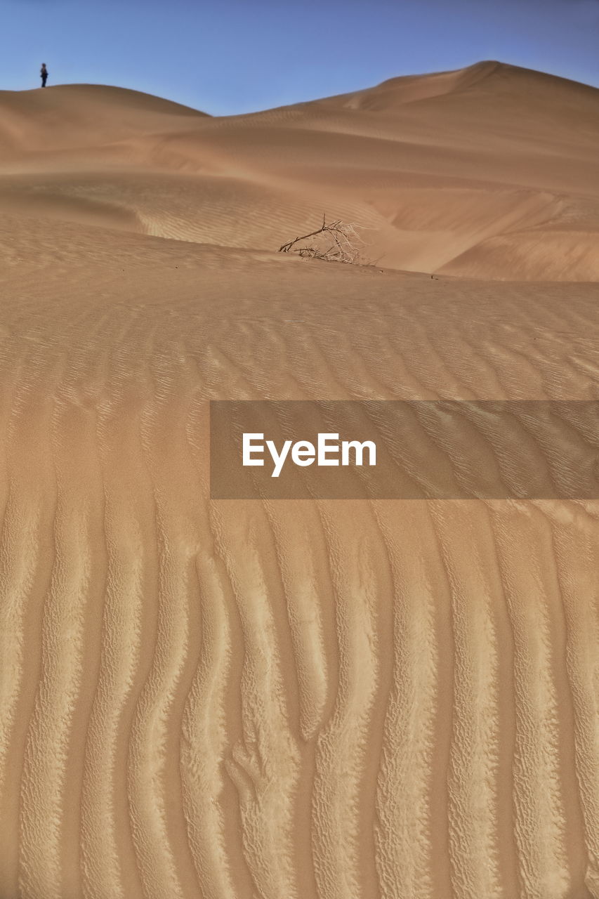 0234 chains of moving sand dunes cover the surface of the taklamakan desert. yutian-xinjiang -china.