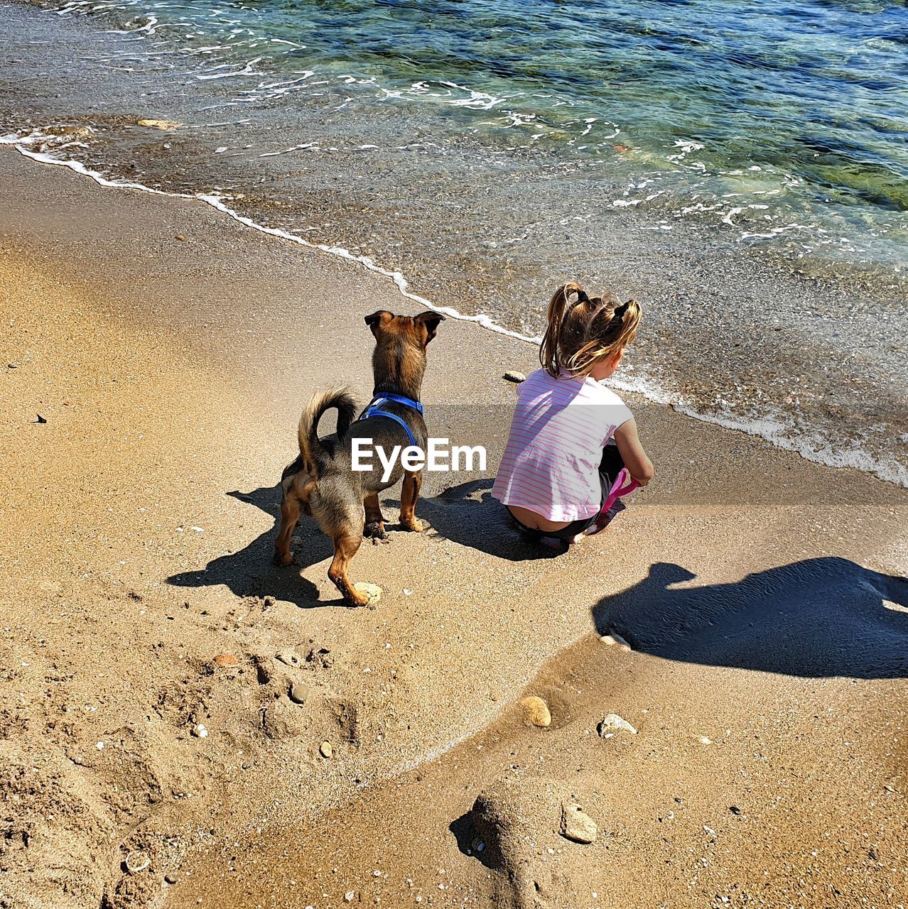 Rear view of girl and dog on shore at beach