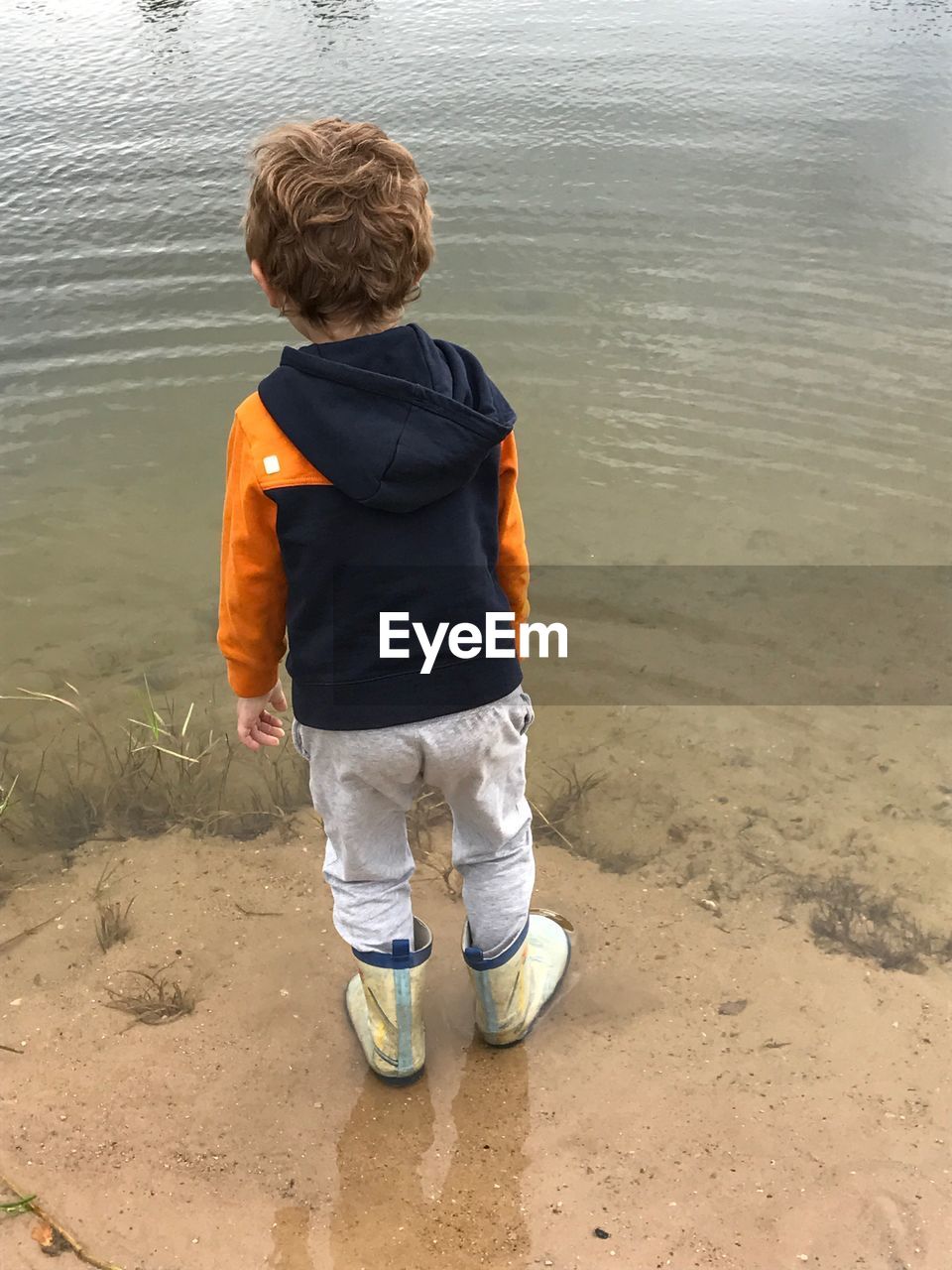 Rear view of boy standing in water at lake