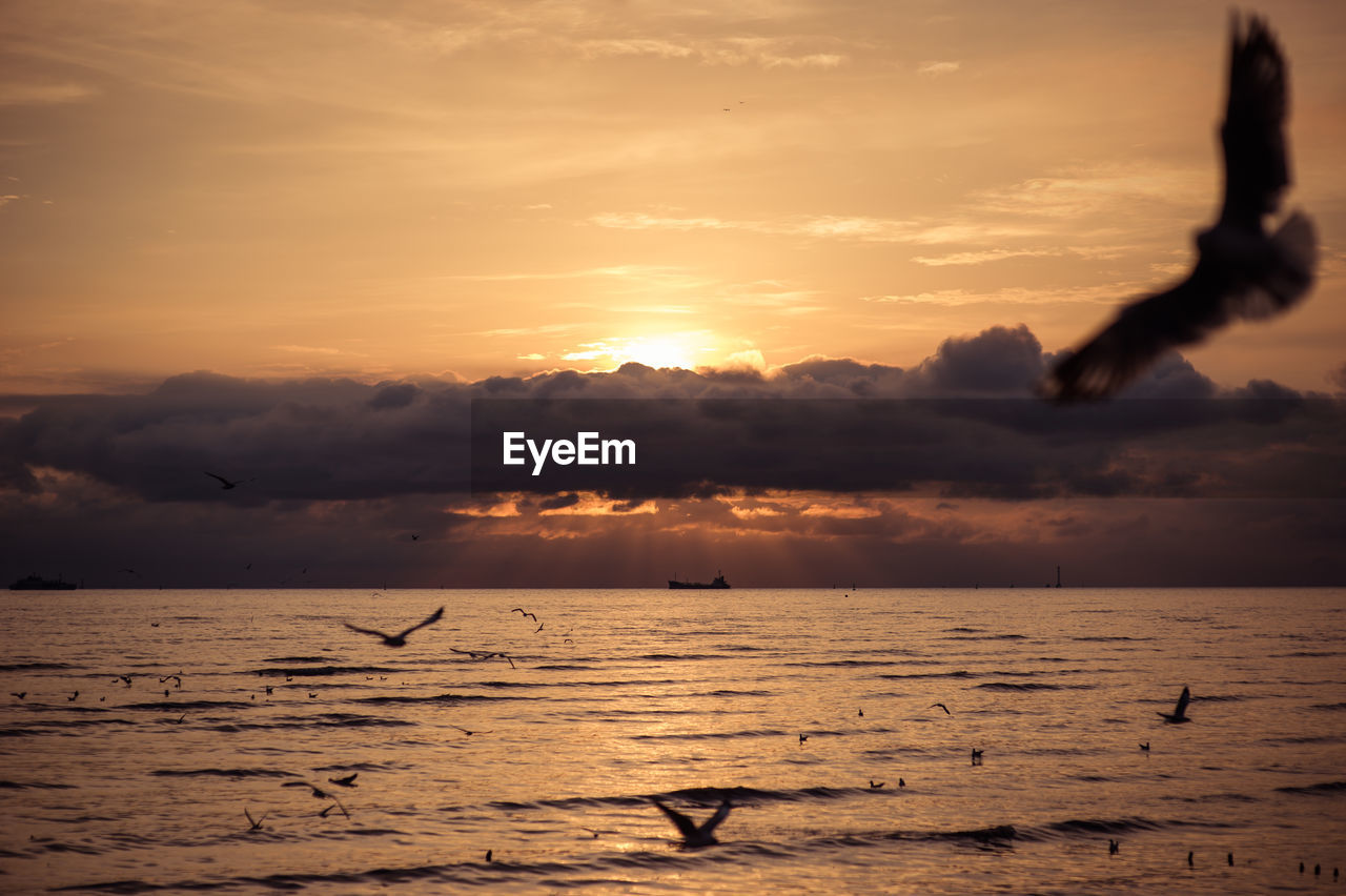 Scenic view of sea against sky during sunset