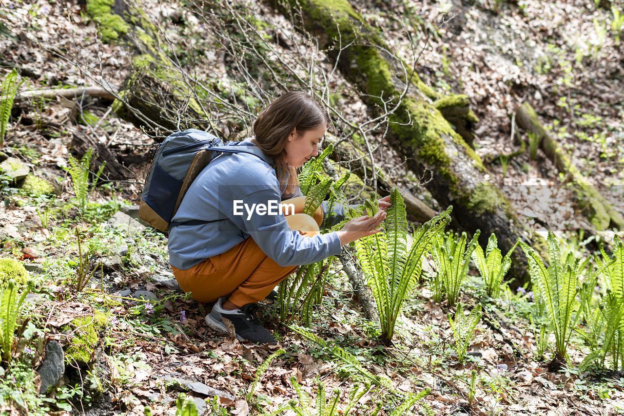 Young woman touching first spring fern sprouts leaves in forest , enjoying nature , hiking bracken