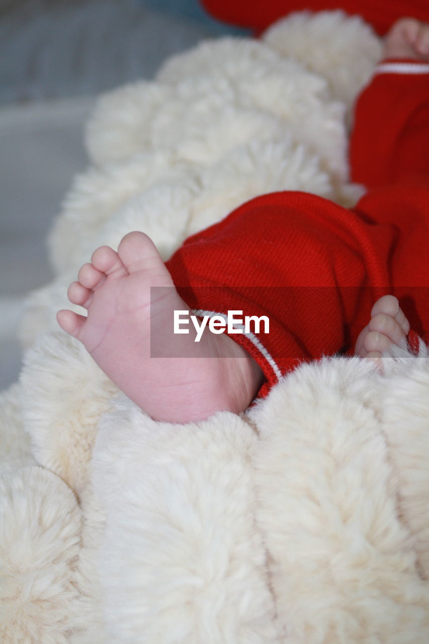 fur, one person, childhood, hand, child, indoors, textile, baby, red, fur clothing, white, animal, christmas, stuffed toy, celebration, close-up, clothing, cute, holiday, toy, winter, relaxation, mammal, toddler, warm clothing, teddy bear