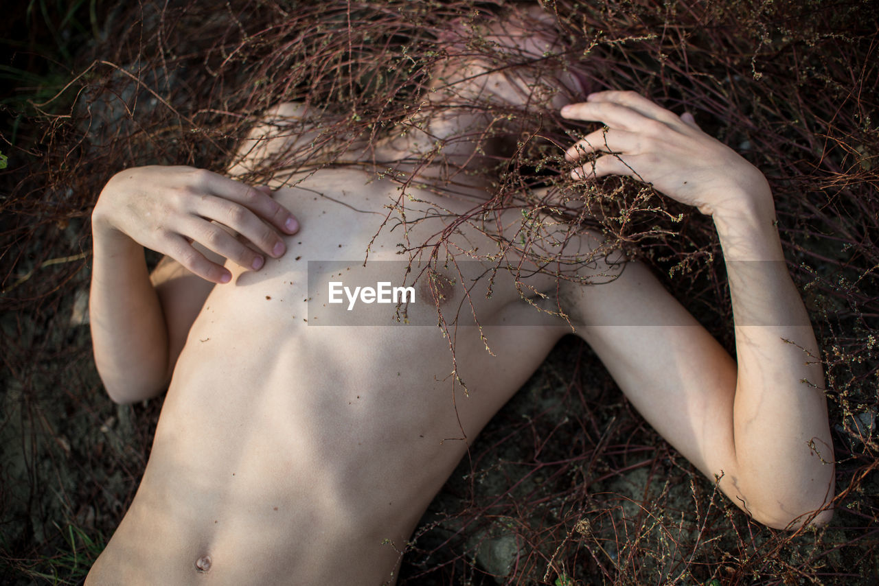 High angle view of shirtless man hiding face with dried plants while lying on field
