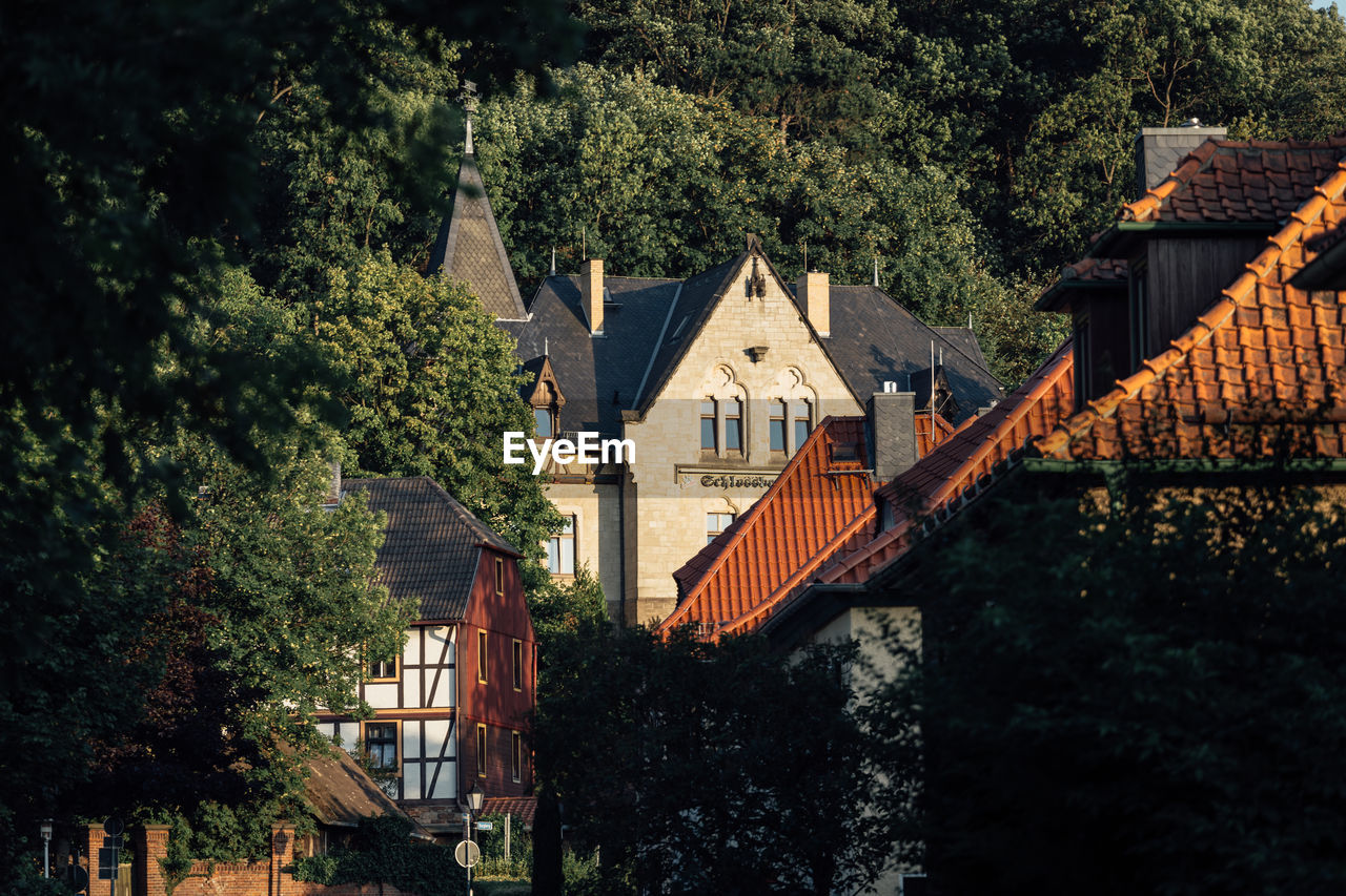 Houses and trees by house in forest