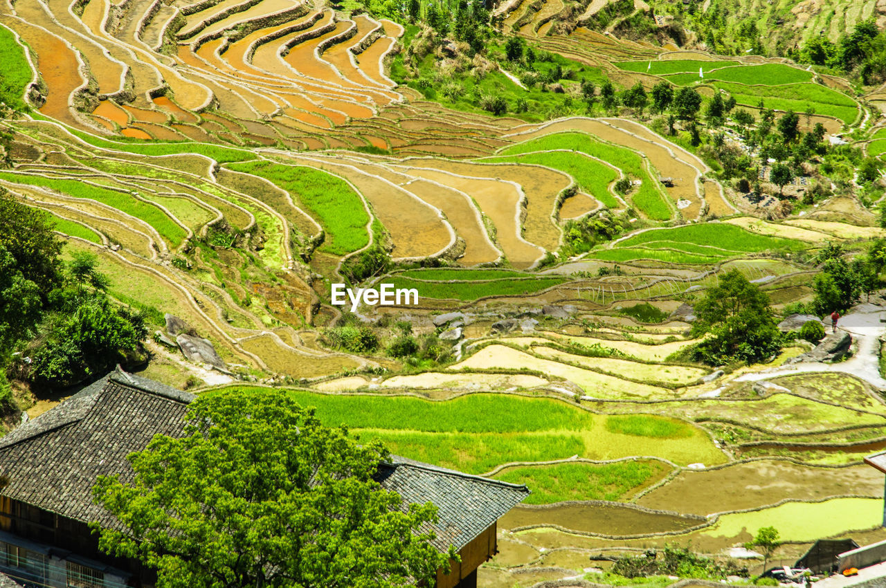 HIGH ANGLE VIEW OF AGRICULTURAL LAND