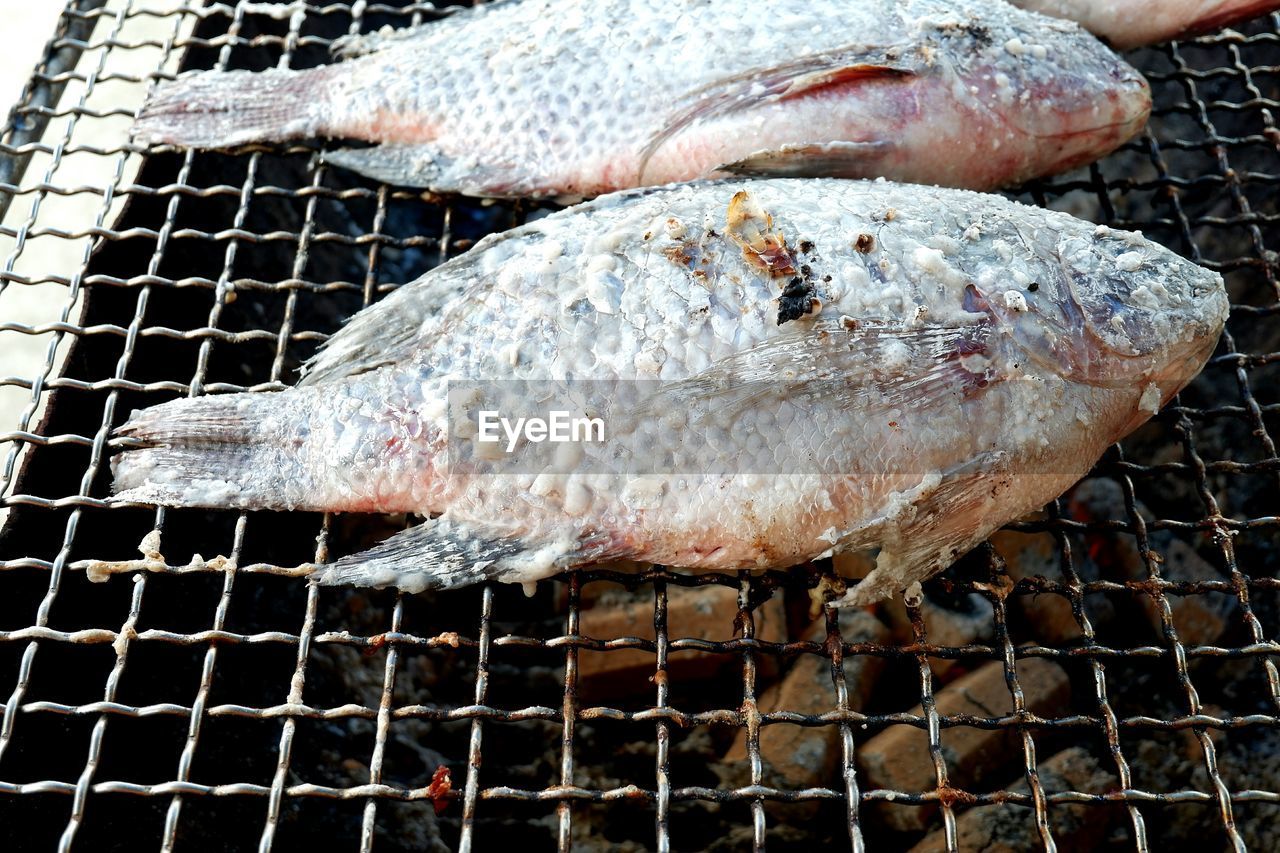 CLOSE-UP OF FISH ON BARBECUE GRILL