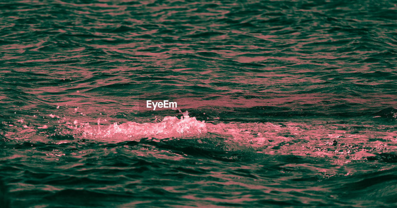 HIGH ANGLE VIEW OF SWIMMING IN SEA