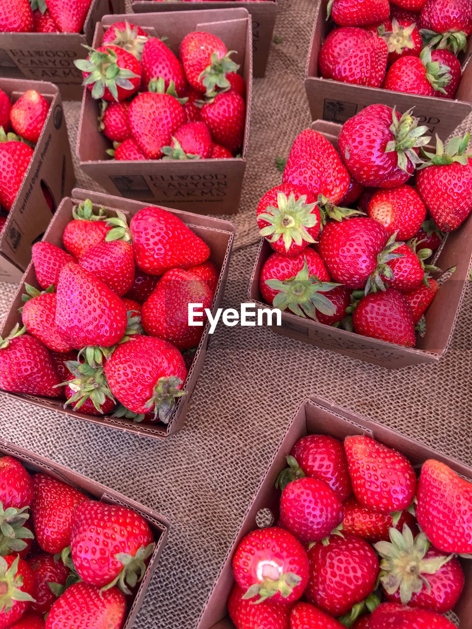 HIGH ANGLE VIEW OF STRAWBERRIES IN CONTAINER