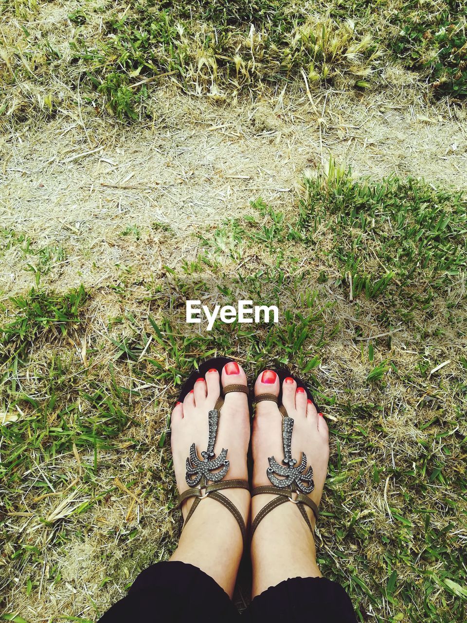 Low section of woman wearing sandals on grass
