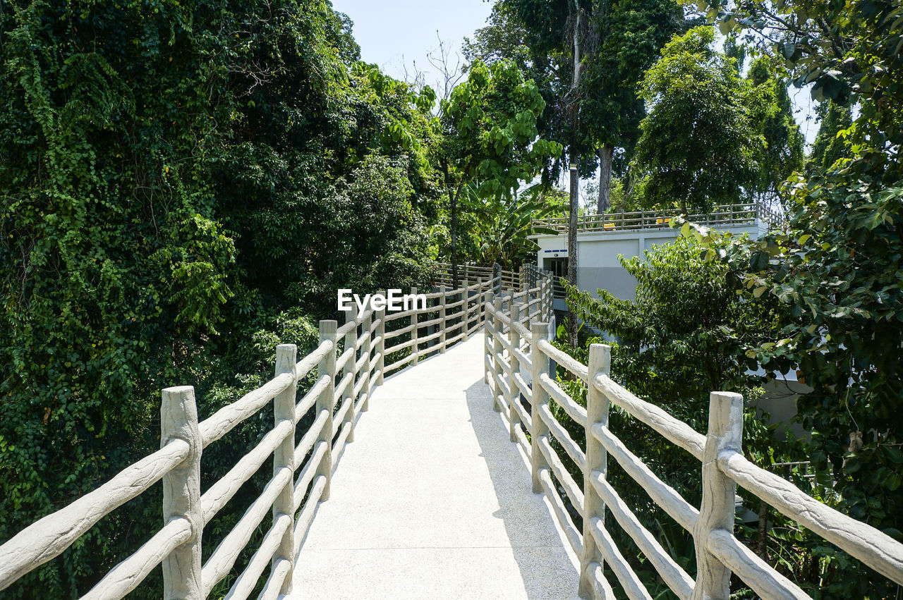 WOODEN FOOTBRIDGE IN FOREST