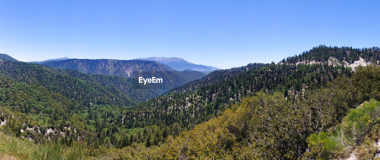 Scenic view of landscape against clear sky