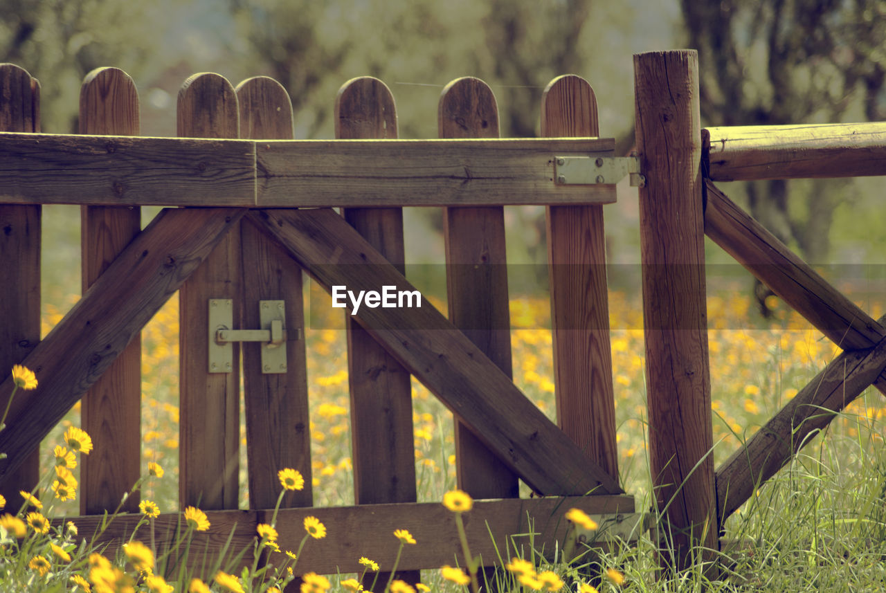 Close-up of railing on field